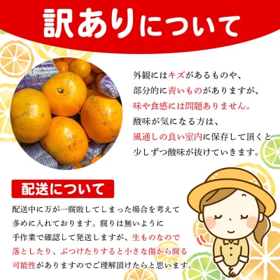 <木下さんちのみかん 訳あり 約5kg(2S～2Lサイズ混合)> 選べる わけあり 家庭用 柑橘