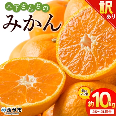 <木下さんちのみかん 訳あり 約10kg(2S～2Lサイズ混合)> 選べる わけあり 家庭用 柑橘
