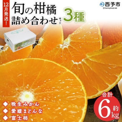 旬の柑橘詰め合わせセット(晩生みかん、愛媛まどんな、富士柿)宇都宮物産　3種×各2kg 合計6kg