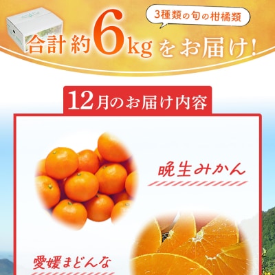 旬の柑橘詰め合わせセット(晩生みかん、愛媛まどんな、富士柿)宇都宮物産　3種×各2kg 合計6kg