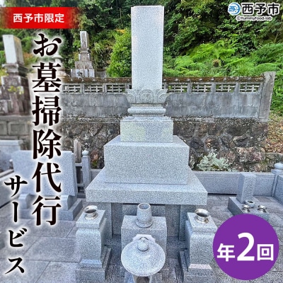 お墓掃除代行サービス　年2回コース