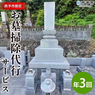 お墓掃除代行サービス　年3回コース