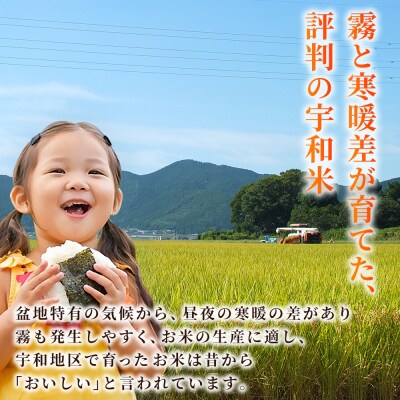 <令和7年産 コシヒカリ 玄米 30kg> 国産 R7 米 宇和米 げんまい お米 銘柄米