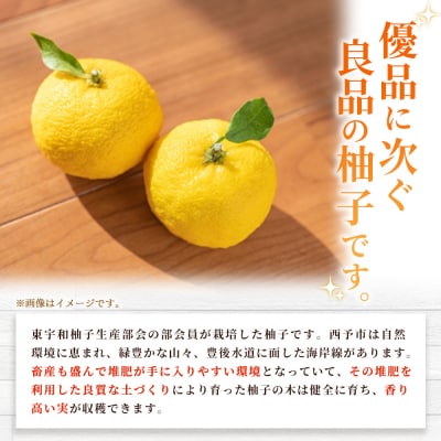柚子 良 Sサイズ (24個入り) × 3箱> 約6kg ゆず ユズ 国産 柑橘