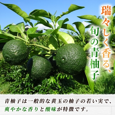 <青柚子 秀 (28～32個入り) 約2kg> 国産 青 柚子 ゆず ユズ 柑橘 かんきつ 低樹高栽