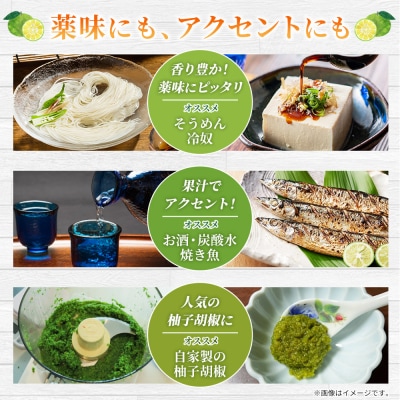 <青柚子 秀 (28～32個入り) 約2kg> 国産 青 柚子 ゆず ユズ 柑橘 かんきつ 低樹高栽