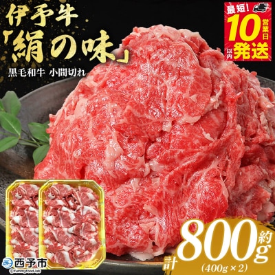 <伊予牛「絹の味」黒毛和牛 小間切れ 約800g> 選べる お肉 牛肉 精肉 国産 和牛 ブランド