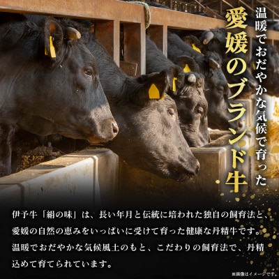 <伊予牛「絹の味」黒毛和牛 小間切れ 約800g> 選べる お肉 牛肉 精肉 国産 和牛 ブランド