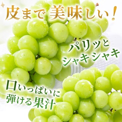 <シャインマスカット 家庭用 約2kg> 果物 フルーツ 宇都宮物産 シャイン