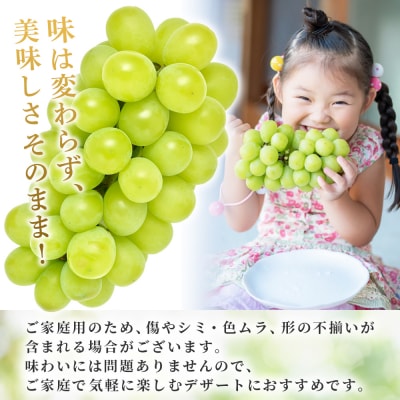 【先行受付】<シャインマスカット 家庭用 約2kg> 果物 フルーツ 宇都宮物産 シャイン