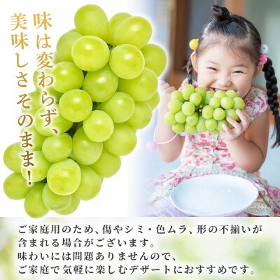 <シャインマスカット 家庭用 約2kg> 果物 フルーツ 宇都宮物産 シャイン