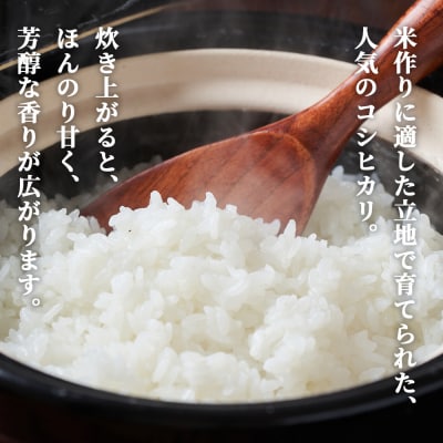 新米<令和7年産 コシヒカリ約10kg 西予市宇和町産> こしひかり 天川農園
