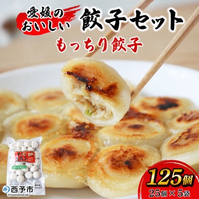 <愛媛のおいしい餃子セット もっちり餃子 125個(25個×5袋)国産 本格 