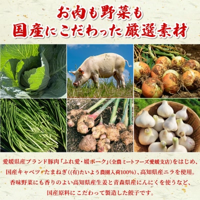 <愛媛のおいしい餃子セット もっちり餃子 125個(25個×5袋)国産 本格 