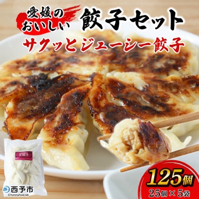 <愛媛のおいしい餃子セット サクッとジューシー餃子 125個(25個×5袋)>