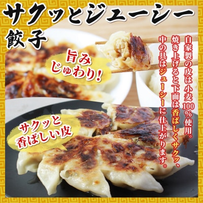 <愛媛のおいしい餃子セット サクッとジューシー餃子 125個(25個×5袋)>