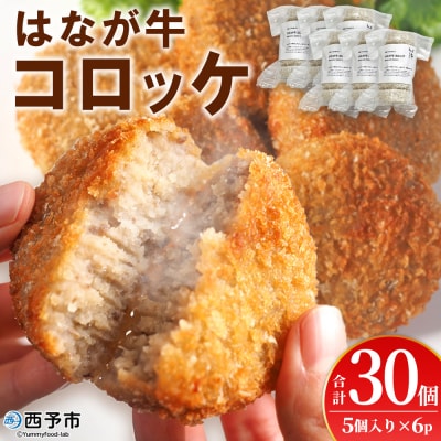 <はなが牛コロッケ 計30個> オリジナル おつまみ お肉 牛肉 はなが牛 国産 ころっけ
