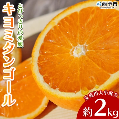 先行予約<とびっきりの愛媛 キヨミタンゴール 約2kg訳あり 家庭用 果物 柑橘