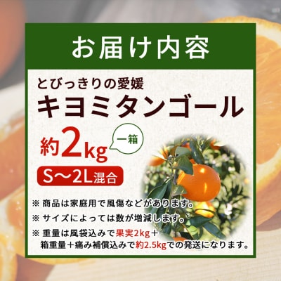 先行予約<とびっきりの愛媛 キヨミタンゴール 約2kg訳あり 家庭用 果物 柑橘