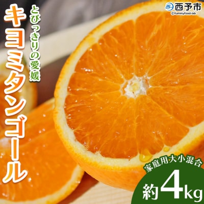 先行予約 <とびっきりの愛媛 キヨミタンゴール 約4kg(家庭用大小混合)> 訳あり 家庭用