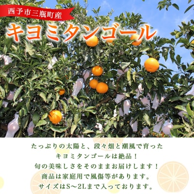 先行予約 <とびっきりの愛媛 キヨミタンゴール 約4kg(家庭用大小混合)> 訳あり 家庭用