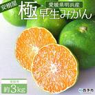 <安樹屋 愛媛県明浜産 極早生みかん 約3kg(家庭用)> 選べる 内容量 柑橘 みかん 
