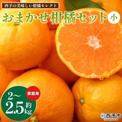 <西予の美味しい柑橘セレクト(ご家庭用)>2月発送 果物 くだもの