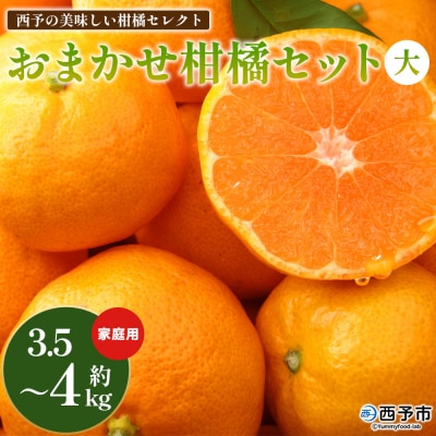 <西予の美味しい柑橘セレクト大(ご家庭用)>1月発送 果物 くだもの みかん