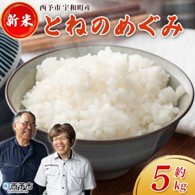 新米<令和7年産 とねのめぐみ 約5kg 西予市宇和町産> 内容量 加茂ファーム