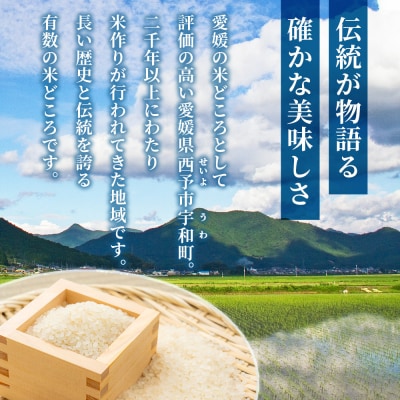 新米<令和7年産 とねのめぐみ 約5kg 西予市宇和町産> 内容量 加茂ファーム