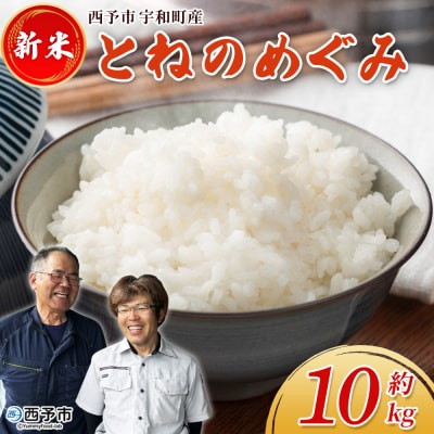 新米<令和7年産 とねのめぐみ 約10kg 西予市宇和町産> 内容量 加茂ファーム