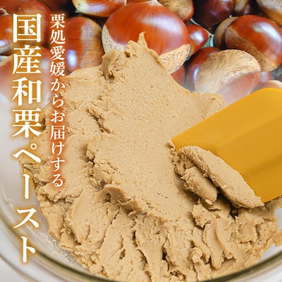 <和栗ペースト 1mmタイプ(加糖)約1kg> 栗 くり　ペースト
