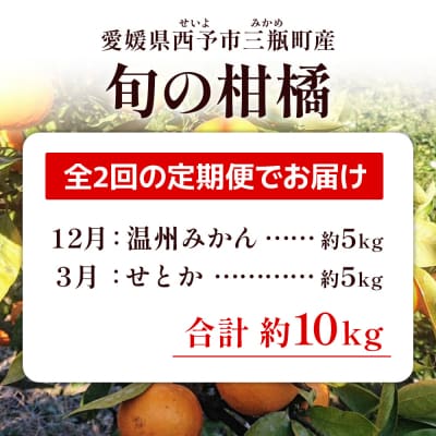 <訳あり 旬の柑橘定期便 2回(温州みかん 約5kg・せとか 約5kg)> 数量限定 産地直送 自宅