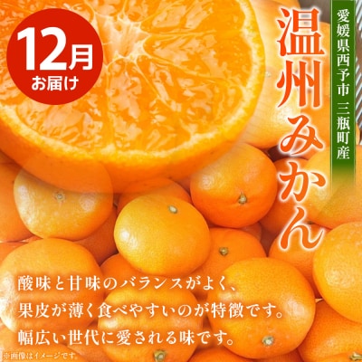 <訳あり 旬の柑橘定期便 2回(温州みかん 約5kg・せとか 約5kg)> 数量限定 産地直送 自宅