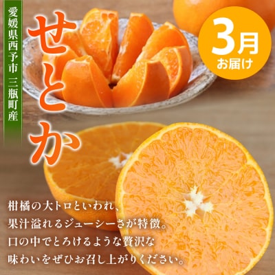 <訳あり 旬の柑橘定期便 2回(温州みかん 約5kg・せとか 約5kg)> 数量限定 産地直送 自宅