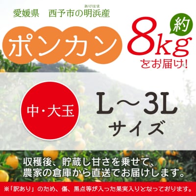 浜のみかん屋直送 ポンカン　訳あり　8キロ　中・大玉(L～3L)