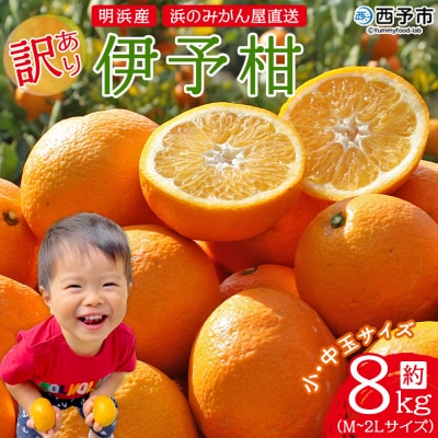 l݂̂񉮒 ɗ\@󂠂@8L@E(M`2L)