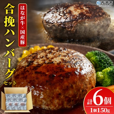 <合挽ハンバーグセット 6個(1個150g)> セット ハンバーグ はんばーぐ 合挽肉 肉 お肉