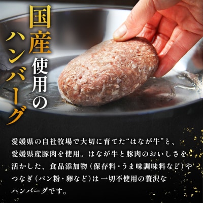 <合挽ハンバーグセット 6個(1個150g)> セット ハンバーグ はんばーぐ 合挽肉 肉 お肉