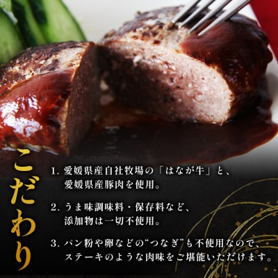 <合挽ハンバーグセット 6個(1個150g)> セット ハンバーグ はんばーぐ 合挽肉 肉 お肉