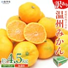 <愛媛県西予市産 訳あり 無選別 温州みかん 約4.5kg> 果物 くだもの フルーツ 柑橘 みかん