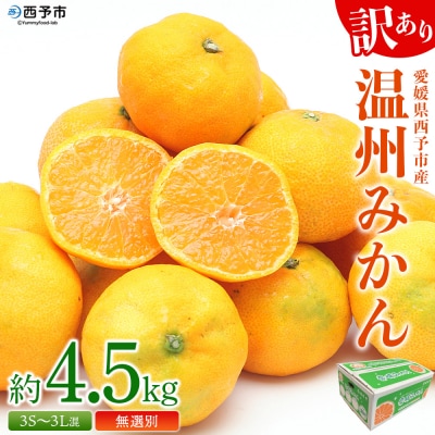 <愛媛県西予市産 訳あり 無選別 温州みかん 約4.5kg> 果物 くだもの フルーツ 柑橘 みかん