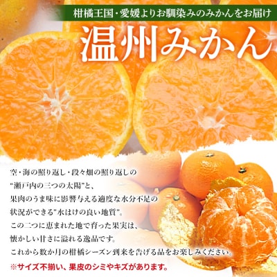 <愛媛県西予市産 訳あり 無選別 温州みかん 約4.5kg> 果物 くだもの フルーツ 柑橘 みかん