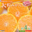 <愛媛県西予市産 大粒みかん 約4kg> 果物 くだもの フルーツ 柑橘