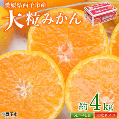 <愛媛県西予市産 大粒みかん 約4kg> 果物 くだもの フルーツ 柑橘