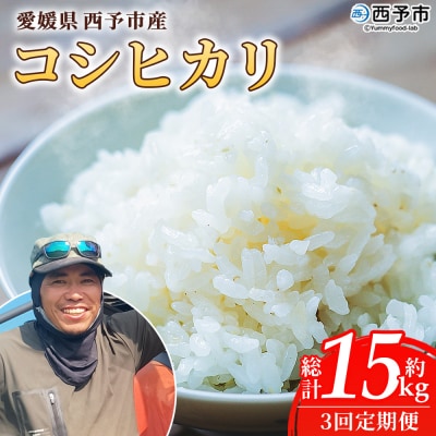 新米<令和7年産 愛媛県西予市産 コシヒカリ 5kg >   通常 3回 定期便