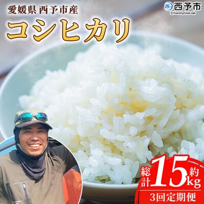 【先行受付】新米<令和8年産 愛媛県西予市産 コシヒカリ 5kg  3回 定期便 もとき農園>
