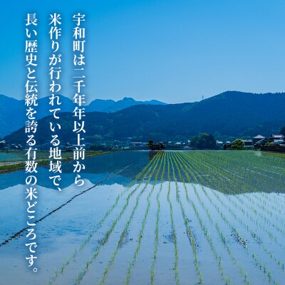 【先行受付】新米<令和8年産 愛媛県西予市産 コシヒカリ 5kg  3回 定期便 もとき農園>