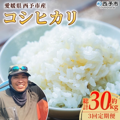 【先行受付】新米<令和8年産 愛媛県西予市産 コシヒカリ 10kg  3回 定期便>もとき農園