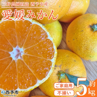 <愛媛みかん 家庭用(不揃い)約5kg> 果物 フルーツ 温州みかん うんしゅうみかん